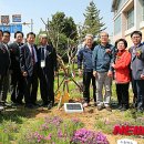 삼척초교 이미지