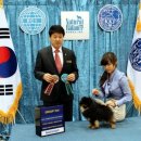 에버노블 이미지