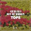 육대장 여의도점 | [일상Talk] 4월 봄나들이는 여기 꼭 방문하기 (TOP 5)