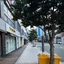 채채뷰티 - 북구 | 부산 광안리 속눈썹펌 잘하는집 채채뷰티 추천 및 후기