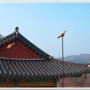 옥계공원 Daum카페