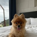 헤이메르 마린뷰 이미지