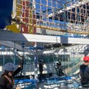 용산-현장-1476 | 대구 달용이챌린지파크에서 짜릿한 하이로프 코스 직접 체험해본 후기!