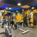 시너지짐 이미지