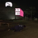 모든 게 지나간 꿈이었다