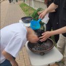 역사박물관(굴포로151) | [국내여행] 2025 유월에 부평 단오축제