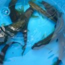 연인산테라스 이미지