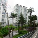 신정이펜1로 이미지