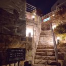 제이닷플레이스 | 제이닷트리 크리스마스 팝업 스누피로 가득한 서울 독립문 트리포토존 애견동반 방문 후기