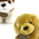 주식회사 리얼건 이미지