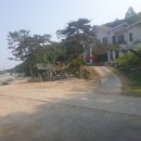 얼큰이짬뽕 이미지