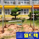 압해초등학교 | 전남 신안 압해초등학교 2인용 스텐그네 깔끔하게 설치한 후기