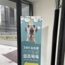 슈슈댕 구래점 네이버블로그