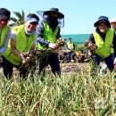 대정농업협동조합 농산물산지유통센터 이미지