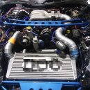 게러지나인 이미지