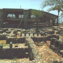 가버나움 이미지