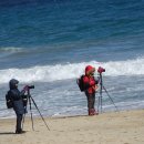 한섬해변 이미지