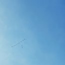 창조시선