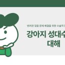 미유펫동물병원