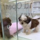 이리온 동물병원 이미지