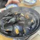 맘모스회센타23호