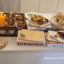 New 궁전 이미지