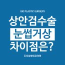 눈썹거상술, 중년쌍꺼풀수술이랑 차이가 뭘까요? 이미지
