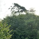 중광별장 이미지