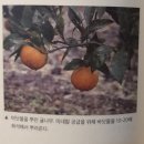 &lt;농부에게 길을 묻다&gt; - &#39;지존의 일상&#39; 책 리뷰