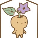 도담공방 이미지