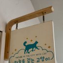 하늘을 걷는 고양이 카페 이미지