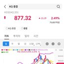 시그널그라피