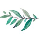 멍뭉다과 이미지