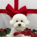 개린이살롱 이미지