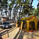 춘장대나드리캠핑장 이미지