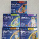 큰창원약국 이미지