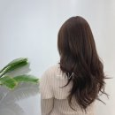 HAN,S 헤어펌