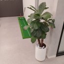 유성 골프연습장 이미지