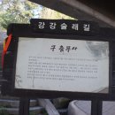 강강술래길 이미지