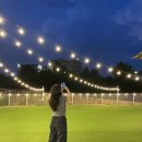 에브리댕댕 이미지