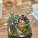 포레스타 | 광주근교 아기랑 체험 전남 화순 테라리움 체험 포레스타 후기