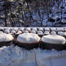 에스아이메디 이미지