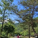 내린천 다락방 네이버블로그