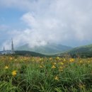 노고단-15 이미지