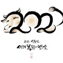 모아숙녀복
