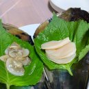 동백수산 - 전주시 완산구 서신천변15길 15-5 | 동백수산