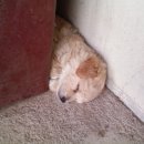 신월낚시터 이미지