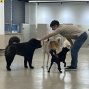 멍블랑 유치원 이미지