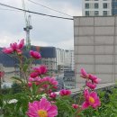 현대리빙텔 이미지