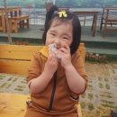 비룡초교병설유치원 이미지
